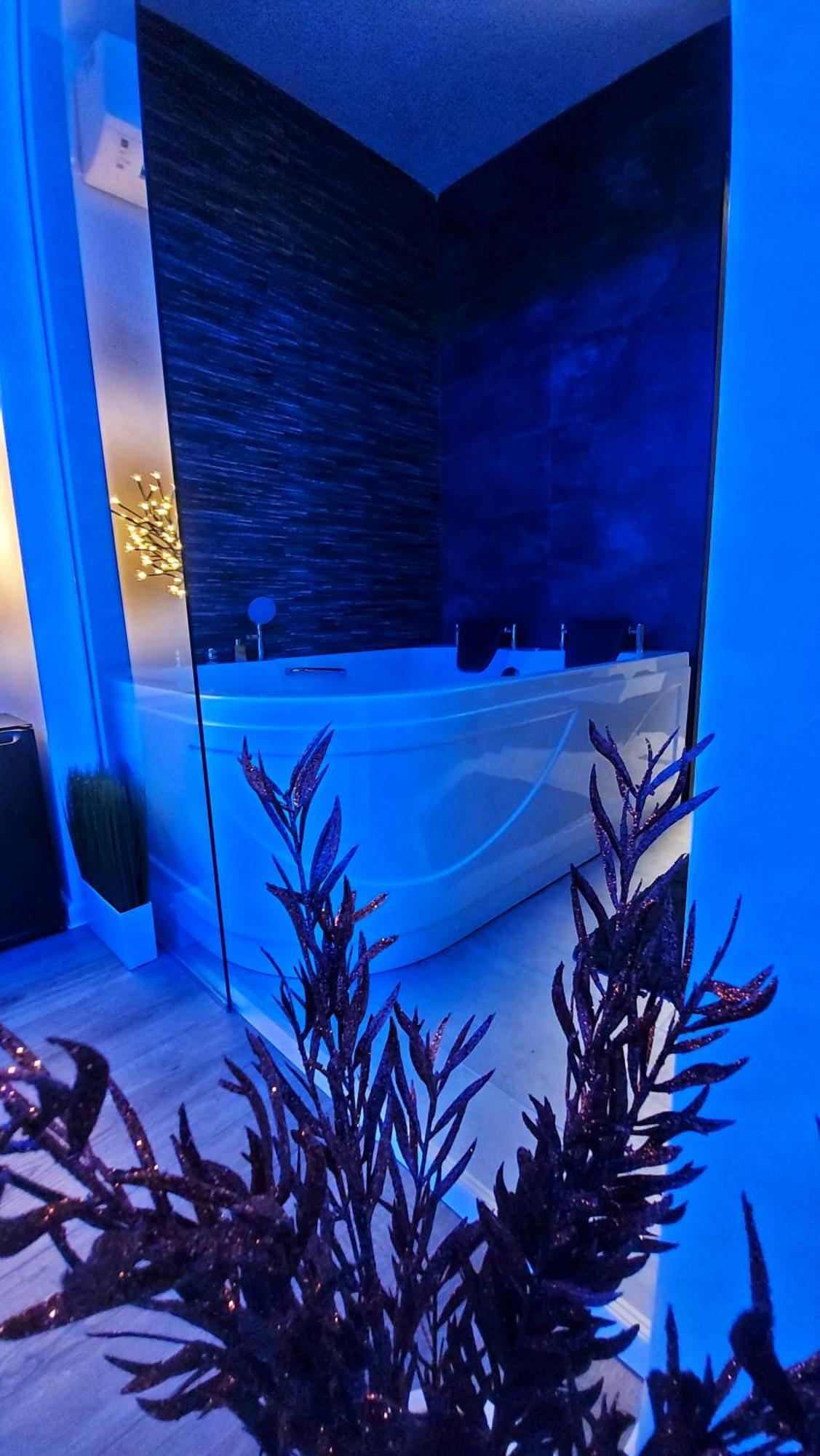 Stars Lux Room Beograd Rom bilde